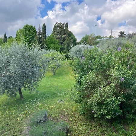 Happy Guest Apartments - Lake View And Pool Riva di Solto Exteriör bild