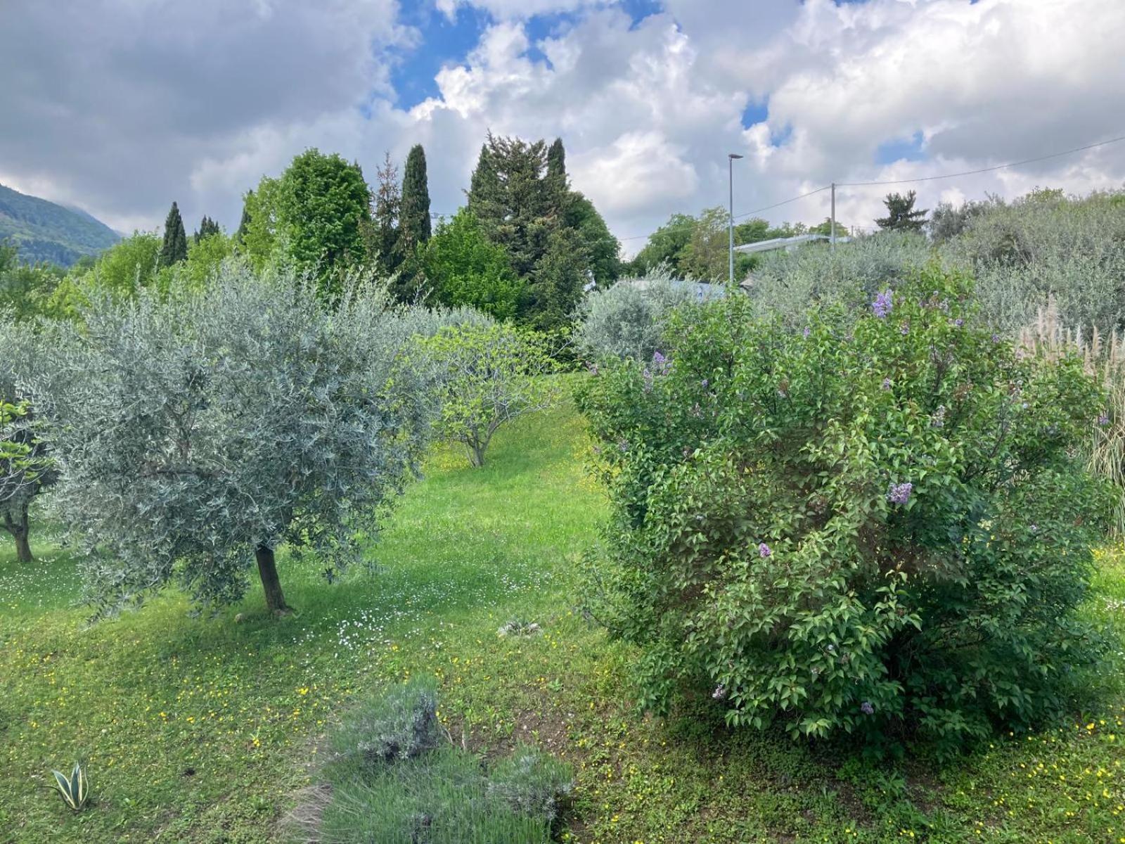 Happy Guest Apartments - Lake View And Pool Riva di Solto Exteriör bild